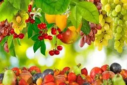7 خوراکی‌ سمی را بشناسید