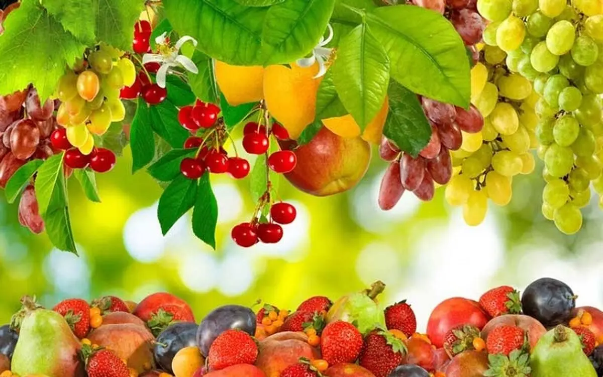 7 خوراکی‌ سمی را بشناسید