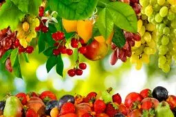 7 خوراکی‌ سمی را بشناسید