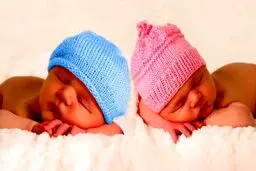 تعیین جنسیت نوزاد ممنوع شد! 
