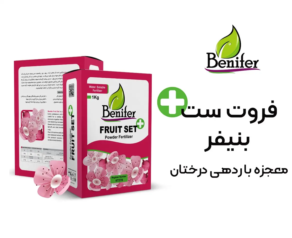 فروت ست پلاس آیا در باردهی درختان معجزه می کند؟