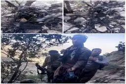 کشف لاشه پهپاد صهیونی در لرستان + عکس
