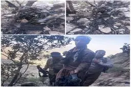 کشف لاشه پهپاد صهیونی در لرستان + عکس
