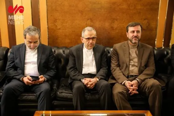 کارشناسان کمکی در هیات مذاکره کننده ایران 