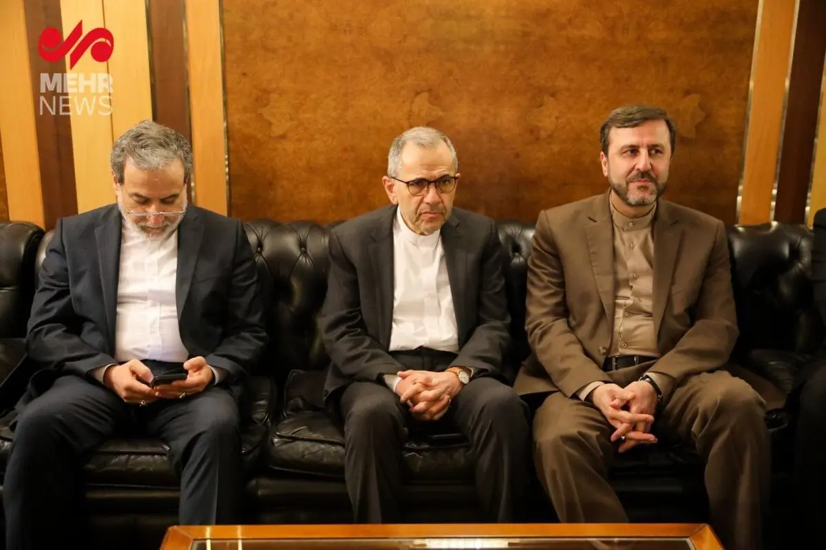 کارشناسان کمکی در هیات مذاکره کننده ایران 