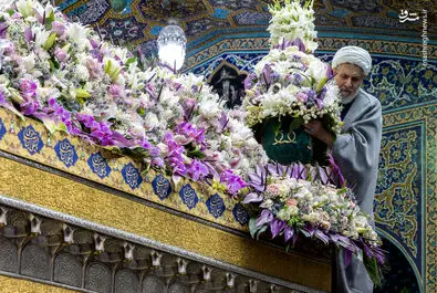 امام رضا(ع)