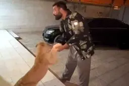 جنجال نگهداری توله شیر در خانه قهرمان رزمی!