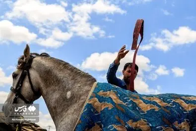 عشایر