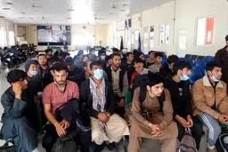 مهاجران افغان چه کلماتی را بیشتر در گوگل جستجو می‌کنند؟