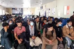 مهاجران افغان چه کلماتی را بیشتر در گوگل جستجو می‌کنند؟