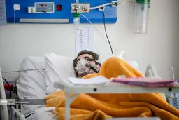 آشنایی با ویروس کرونای آفریقایی+عکس