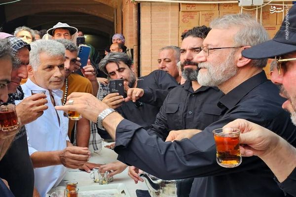 تصاویر روز متفاوت علی لاریجانی در جاده کربلا