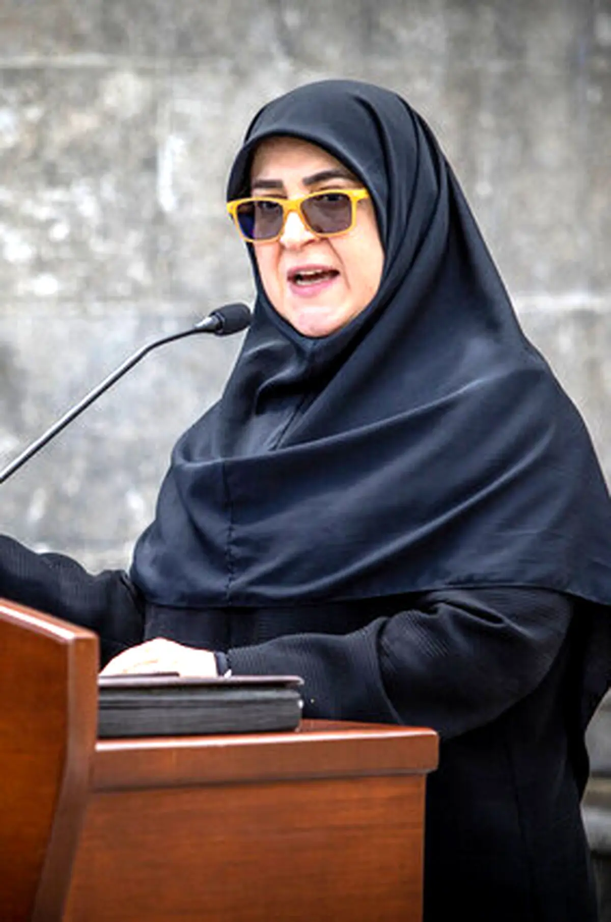 مهاجرانی: آیت‌الله مطهری را جریان تحجر ترور کرد