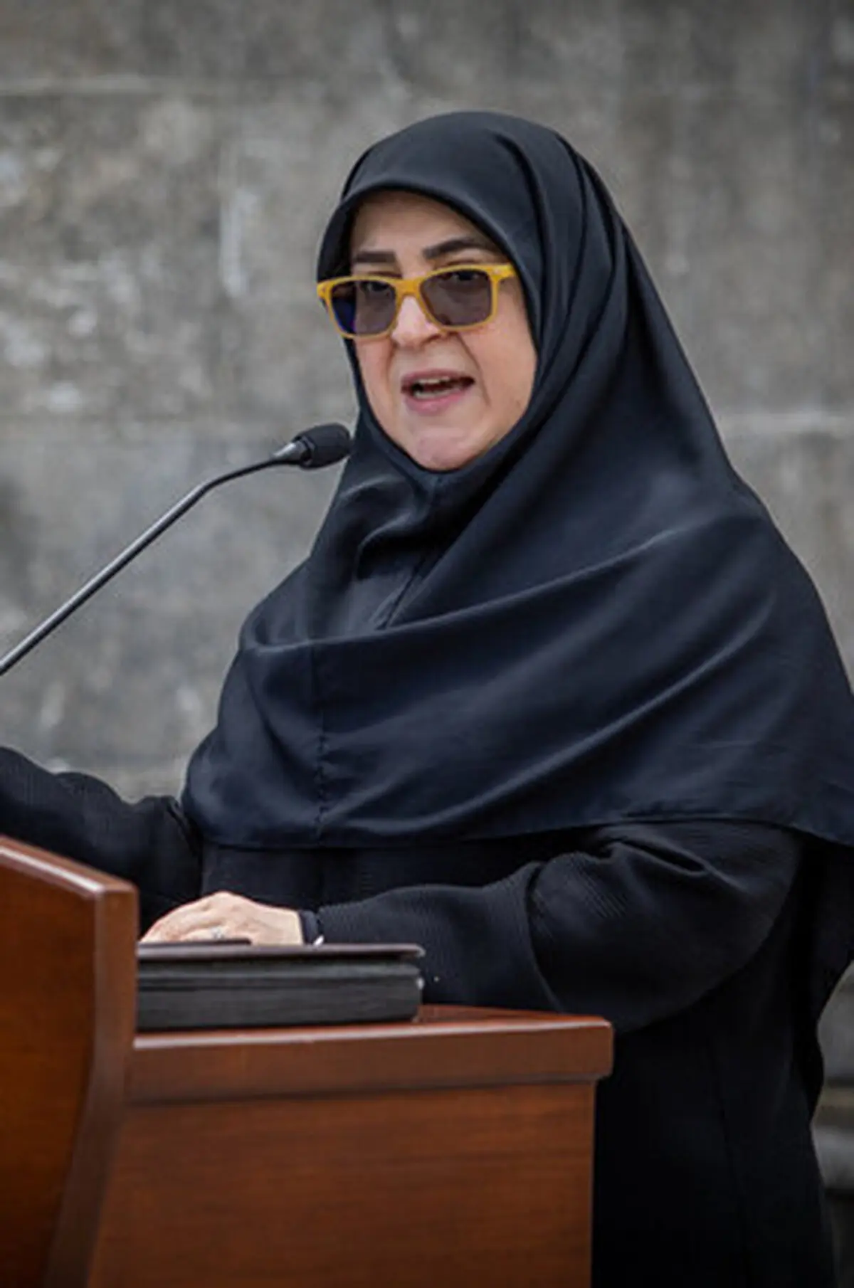مهاجرانی: آیت‌الله مطهری را جریان تحجر ترور کرد