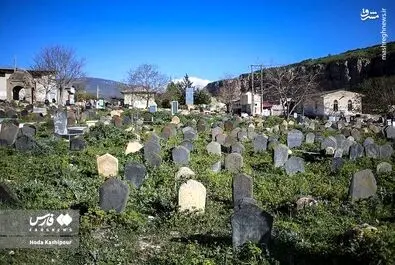 گورستان سفیدچاه