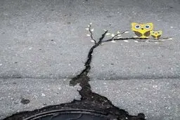 خلاقیت دیدنی با شکاف آسفالت خیابان