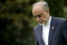 علی اکبر صالحی: همواره از بن‌بست سیاسی نگران هستم