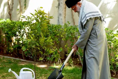 روز درختکاری