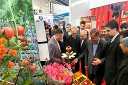 بازدید پزشکیان از نمایشگاه تخصصی کشاورزی خراسان شمالی