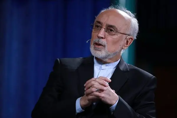 خوش‌بینی علی‌اکبر صالحی نسبت به مذاکرات ایران و آمریکا