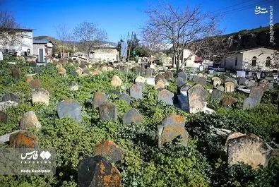 گورستان سفیدچاه