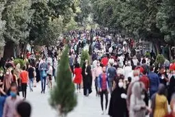مسئول کار نابلد را برکنار و مفسدان را به اشد مجازات برسانید