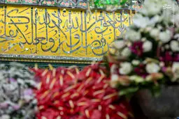 تصاویر گل‌آرایی ضریح نورانی علی ابن موسی الرضا(ع)
