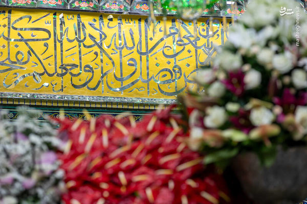 تصاویر گل‌آرایی ضریح نورانی علی ابن موسی الرضا(ع)