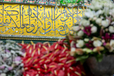 امام رضا