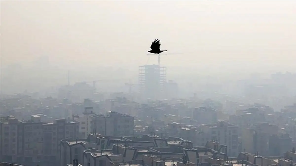 زاکانی رکورد زد؛ اولین بار آلاینده دی‌اکسید گوگرد در تهران!
