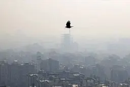 زاکانی رکورد زد؛ اولین بار آلاینده دی‌اکسید گوگرد در تهران!