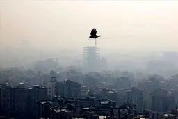 زاکانی رکورد زد؛ اولین بار آلاینده دی‌اکسید گوگرد در تهران!