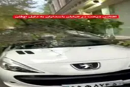 افتادن درخت بر روی یک خودرو در خیایان پاسداران