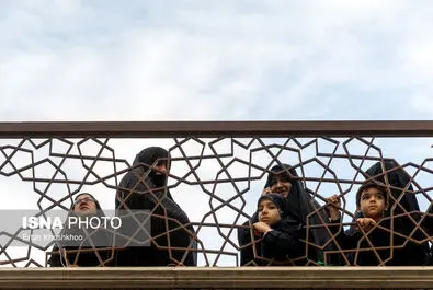 سلامی