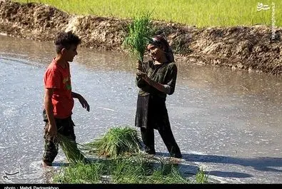 روز کارگر