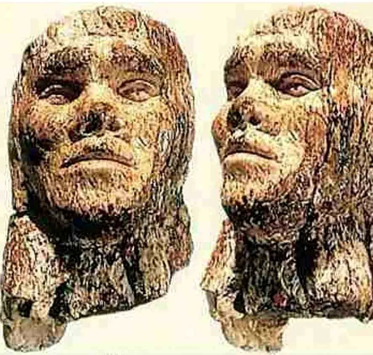 قدیمى‌ترین کنده کاری از چهره انسان بر روی عاج ماموت