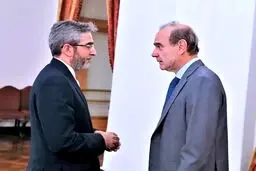 مقام اتحادیه اروپا: ایران درخواست‌های سختی در مورد تحریم‌ها داشته / مرندی: تا همه مشکلات حل نشوند، کار تمام نیست