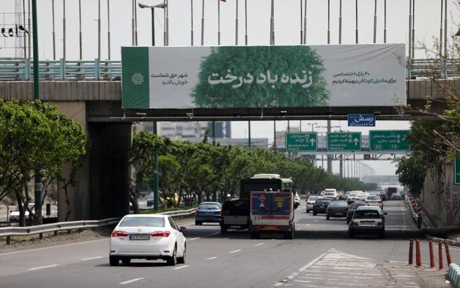 «زنده باد درخت» چون شهرداری پول در می‌آورد!