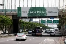 «زنده باد درخت» چون شهرداری پول در می‌آورد! + عکس