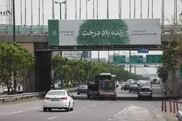 «زنده باد درخت» چون شهرداری پول در می‌آورد! + عکس