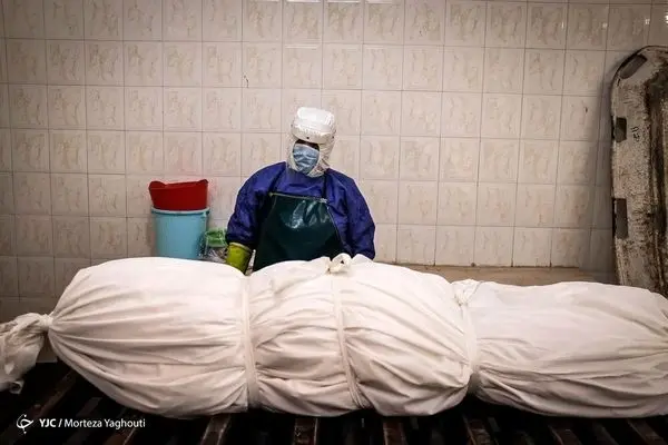 خواننده «میرزا کوچک‌خان» و «گل پامچال» درگذشت