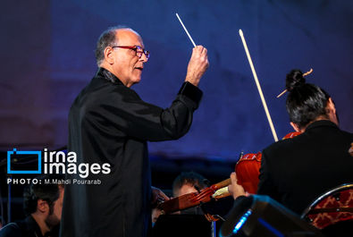 زانو زنندگان