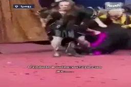 حمله خرس انتقام جو به مربی زن در سیرک