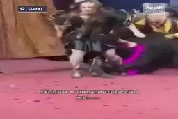 حمله خرس انتقام جو به مربی زن در سیرک