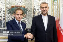 تصاویر دیدار رافائل گروسی با وزیر امور خارجه