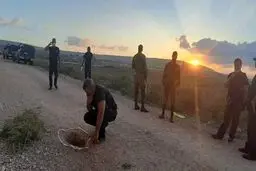 فیلم فرار شش اسیر فلسطینی از زندان فوق‌امنیتی «جلبوع»