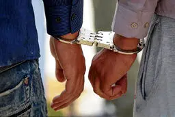 دستگیری نرگس محمدی و هفت نفر دیگر در مشهد