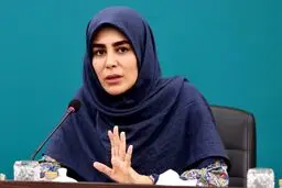 افزایش انتقادها در مورد یک معاون وزیر 