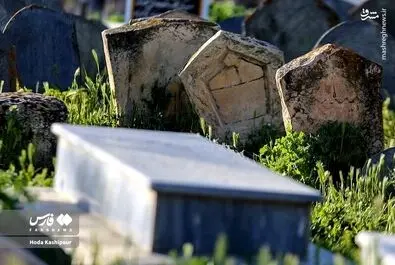 گورستان سفیدچاه