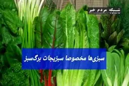فرار از آلزایمر و زوال عقل با خوردن این خوراکی‌ها